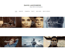 Tablet Screenshot of davidlanzenberg.com